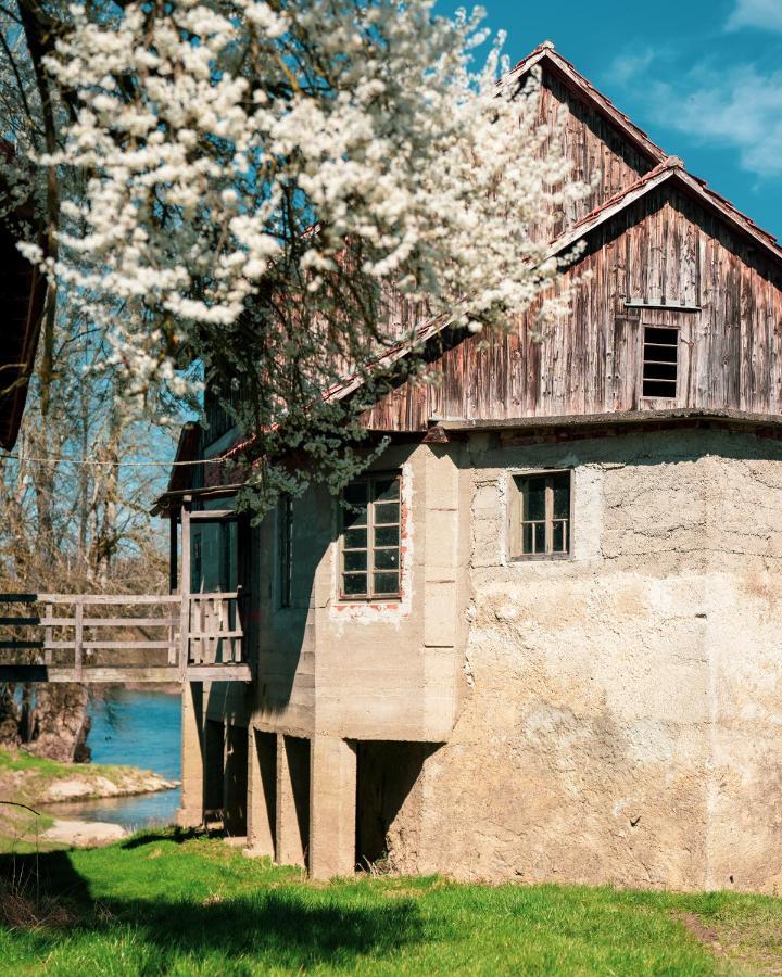 Fortun Estate - Apartmaji Ob Reki Kolpi Метліка Екстер'єр фото